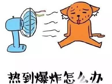 热爆，昨日梅州最高温34℃！别慌，你要的冷空气就来了...
