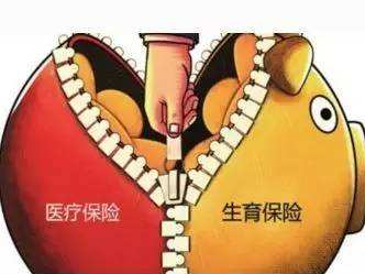 广东将全面推进生育保险和职工医保合并！