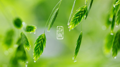 今日谷雨！雨生百谷 时至暮春 初夏将至