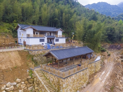 学习笃行丨乡村振兴要干成头雁效应最关键