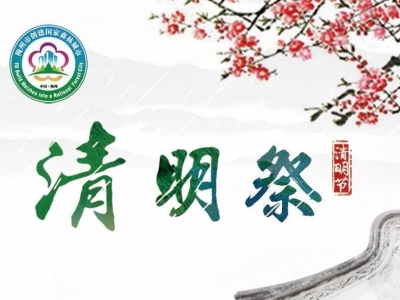 时评丨文明祭祀也是一种责任与担当