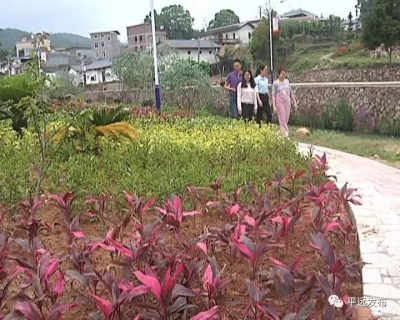突出生态宜居，彰显特色魅力！平远中行镇这样推进乡村振兴