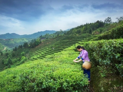 学习笃行丨文明实践丰顺行 融入寻常百姓家