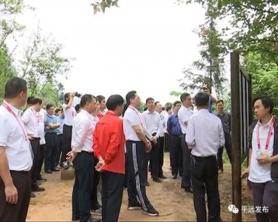 钟旋辉到平远县调研南粤古驿道活化利用工作