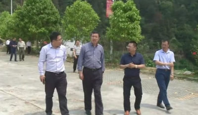 中国柑桔学会理事长邓子牛一行到大埔考察