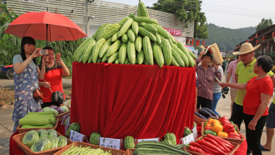 “白宫苦瓜”要刷屏啦！一次订走3000吨，还评出了“苦瓜王”