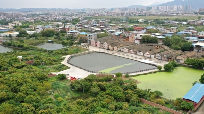 党建引领促发展力 结对共建聚合力！梅江区三角镇宫前村奏响“蝶变曲”