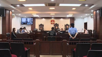 电动车主与闯红灯行人相撞死亡 行人逃逸判3年赔117万