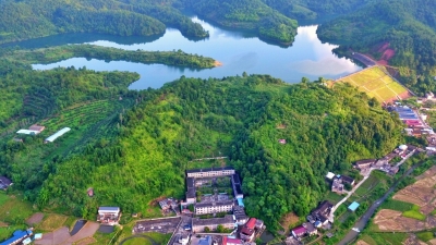 紧扣“长寿牌”“山水经”发力，蕉岭这个镇让“美丽的名片”产生“美丽效应”