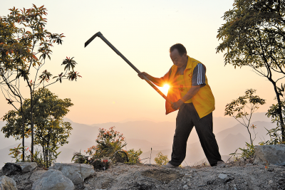 新视界丨丰顺黎峰森林公园的“新愚公” 