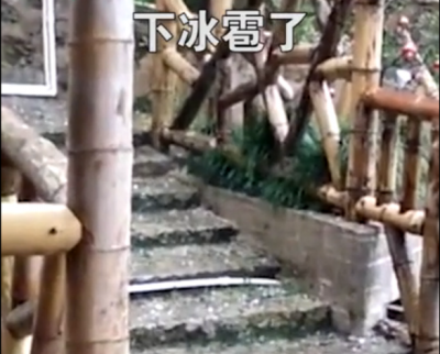 梅州V视丨今天中午，大埔下冰雹了！