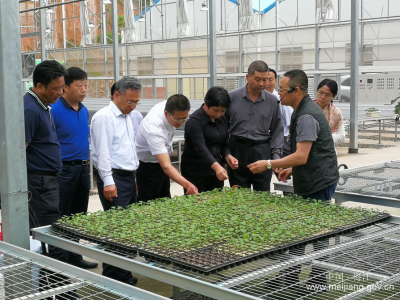 点赞农产品质量安全监管体系！牛宝俊一行到梅江区调研