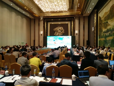 瑞梅铁路真要来了！项目可行性研究评审正式启动