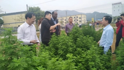 乌干达共和国驻广州总领事馆总领事索罗曼·鲁提嘉到丰顺考察