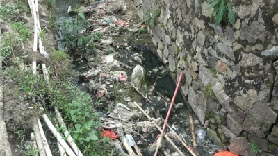 暗访五华圩镇六乱整治：龙村、长布圩镇问题多需加大力度整治