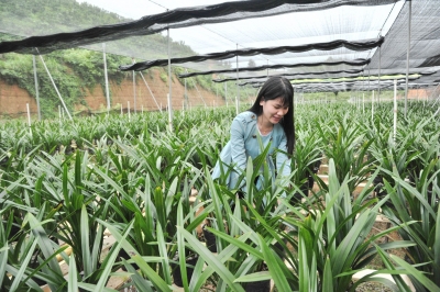 实施“头雁工程”建强干部队伍！五华这样打好“基层牌”