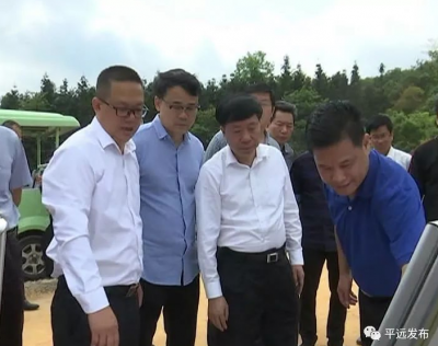 宋才华到泗水镇调研乡村振兴和梅畲田园综合体项目建设工作