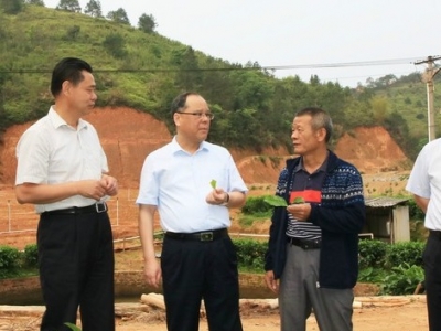 余其豹到宁中镇调研乡村振兴工作，提了这些要求...