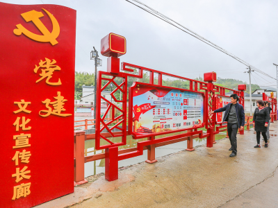 陈建青：发挥优势扎实履职 用心用情助推梅州苏区振兴发展