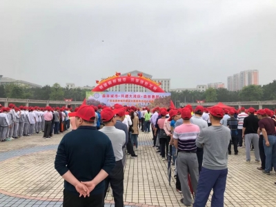 助力“创森”！丰顺开展创建森林城市主题宣传活动