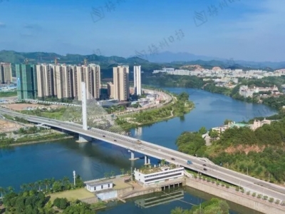 学习笃行丨见贤思齐勇担当 高标谋划好项目