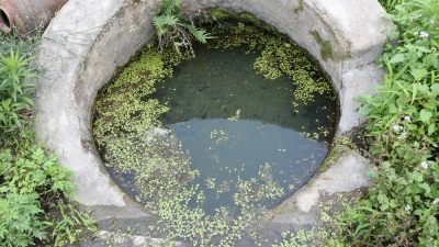 废弃煤矿致污染，种不了水稻打不了井！梅县这个村的村民心里苦...