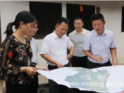 朱国城率队到西阳镇考察林风眠诞辰120周年纪念活动筹备工作