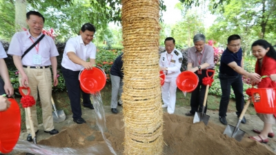 今天，中医药界泰斗们齐聚梅县，共同栽下“院士树”