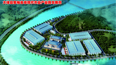 大埔蜜柚产业园建设进展顺利 预计10月底建成投产