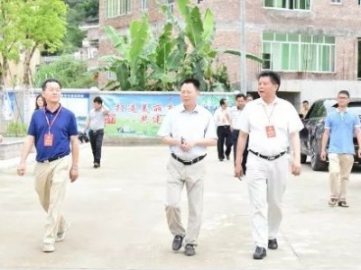 叶天泉一行到安流镇开展“做好乡镇‘三线’乱象专项整治，助推乡村振兴”专题调研