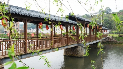每日一景丨桥前绿柳舞春风 一幅天然山水画