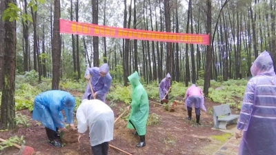 蕉岭组织开展“创建国家森林城市”主题党日活动