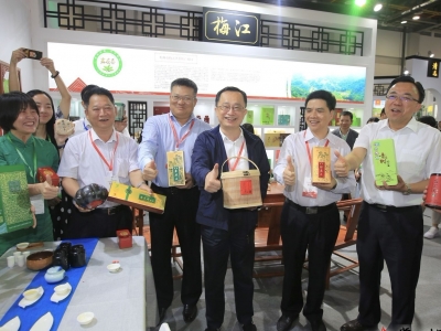 游长寿梅州 品嘉应好茶！ “嘉应茶”首次亮相中国国际茶叶博览会受关注 