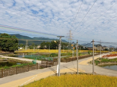 做活绿色经济 擦亮寿乡品牌！蕉岭第一季度经济“成绩单”来了