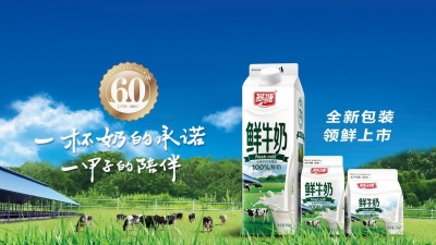 好消息！梅州东辰燕塘牛奶总经销正式进驻海吉星