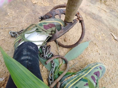 看着都疼！大埔这个村发生多起野猪夹伤人事件