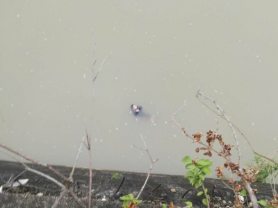 梅州V视丨女子竟将8岁儿子扔入梅江河！3名救人者获现场市民鼓掌、点赞！