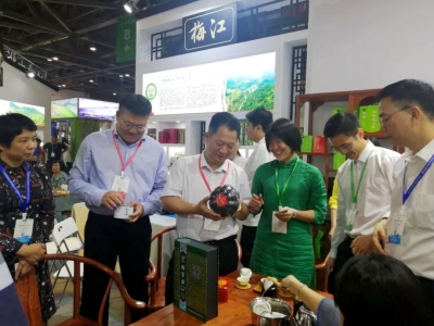梅江区茶叶产业园借力中国国际茶博会，奏响品牌之歌