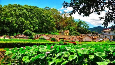 每日一景丨漫步剑英府，邂逅荷塘美景