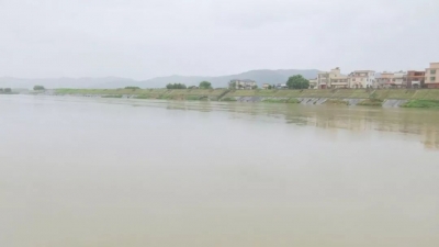 陈伟明督查石窟河“清四乱”行动及防灾减灾工作