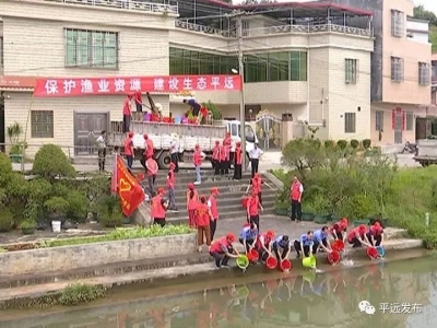 增殖放流、守护一湾碧水！平远20万尾“清道夫”放流