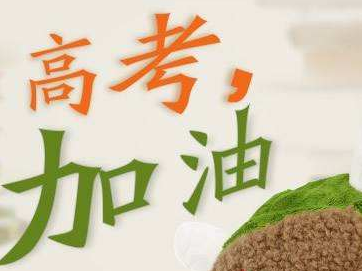 2020年普通高校春季高考志愿填报安排出炉，这些注意事项要知道