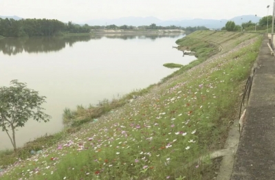 刘彩波督查防汛和河湖“清四乱”工作，强调了这些...