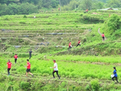 梅县区公路局保洁绿化并举 打造绿色生态公路助力“创森”