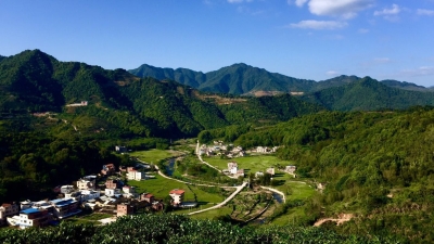 每日一景丨九龙嶂下马图村 青山绿水传红韵