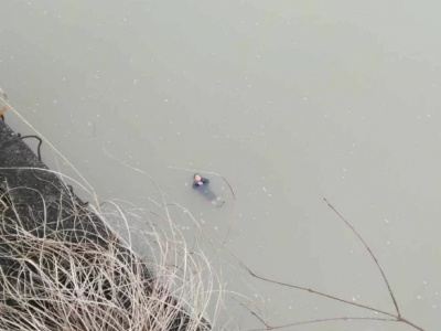 时评丨从勇救落水者看城市文明