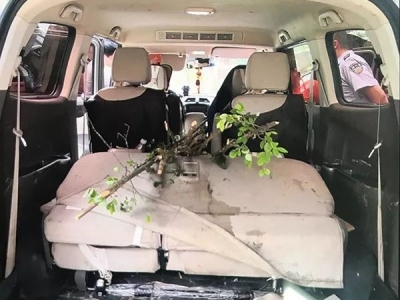 贼大胆！三少年梅城疯狂作案12宗，结果...