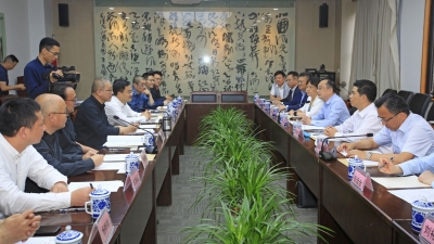 陈敏与中国美术学院院长许江座谈：携手办好林风眠诞辰120周年纪念会