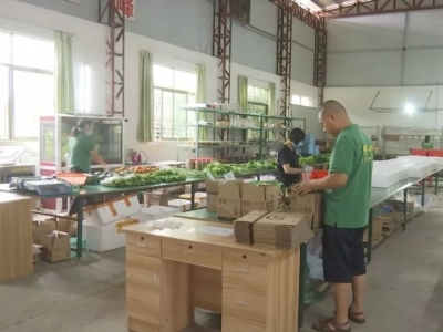 蕉岭长寿南北寨农业发展公司与中国诚信商汇集团签约战略合作