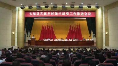 2019，大埔乡村振兴工作怎么干？这场会议上都说清楚了！